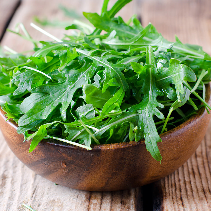 rucola