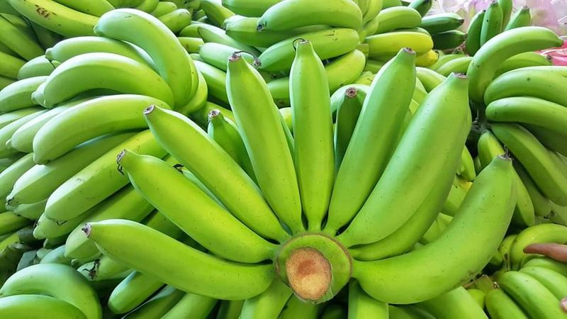 green bananas_0