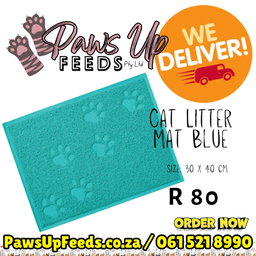 Cat Litter Mat Blue
