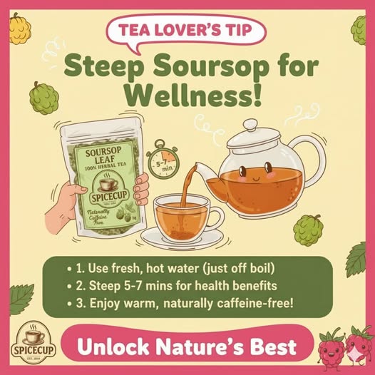 Soursop Leaf Tea_1
