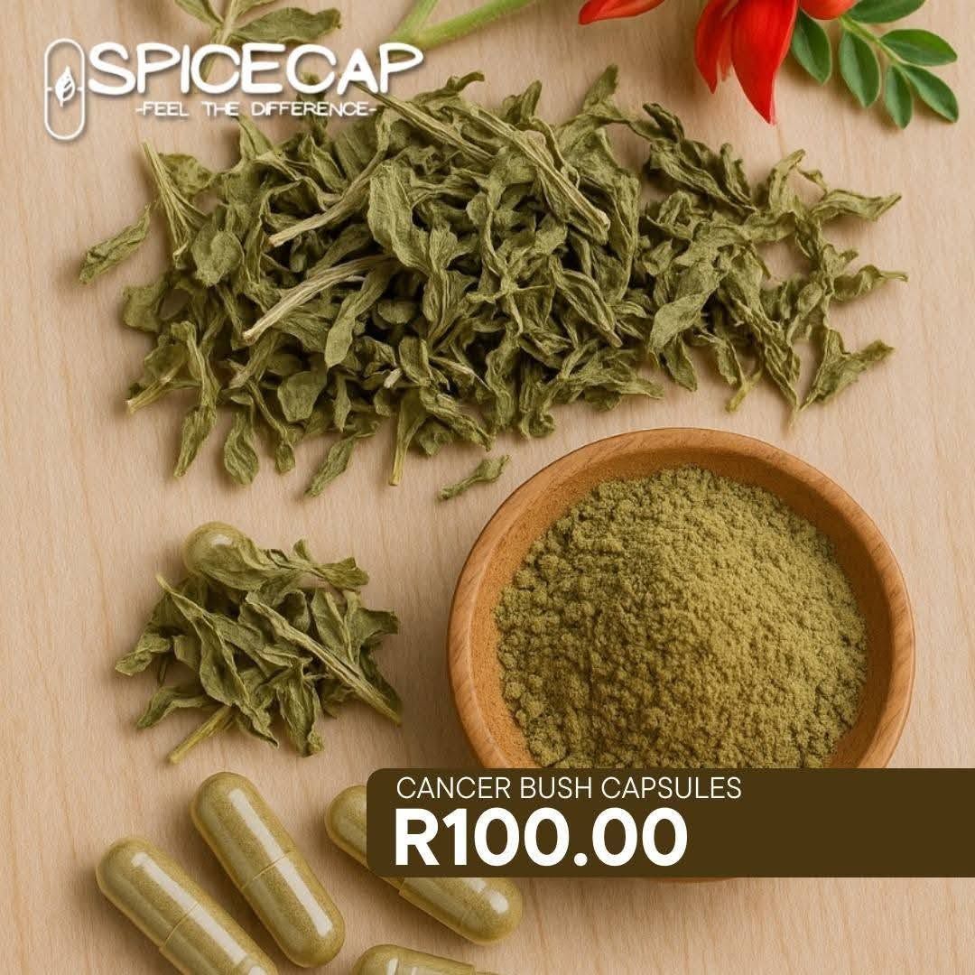 Cancer Bush 300mg / 60 capsules_0