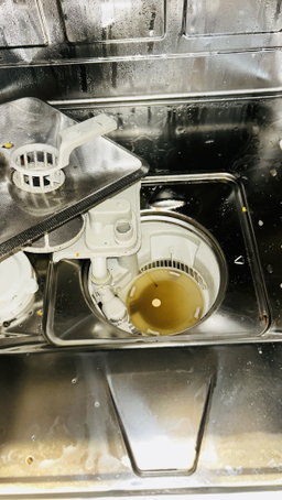 Appliance Maintenance service