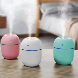 Mini USB Ultrasonic Egg Humidifier with LED Night Light