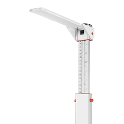 TOISE ADULTE EN ALUMINIUM (2M) AVEC SOCLE