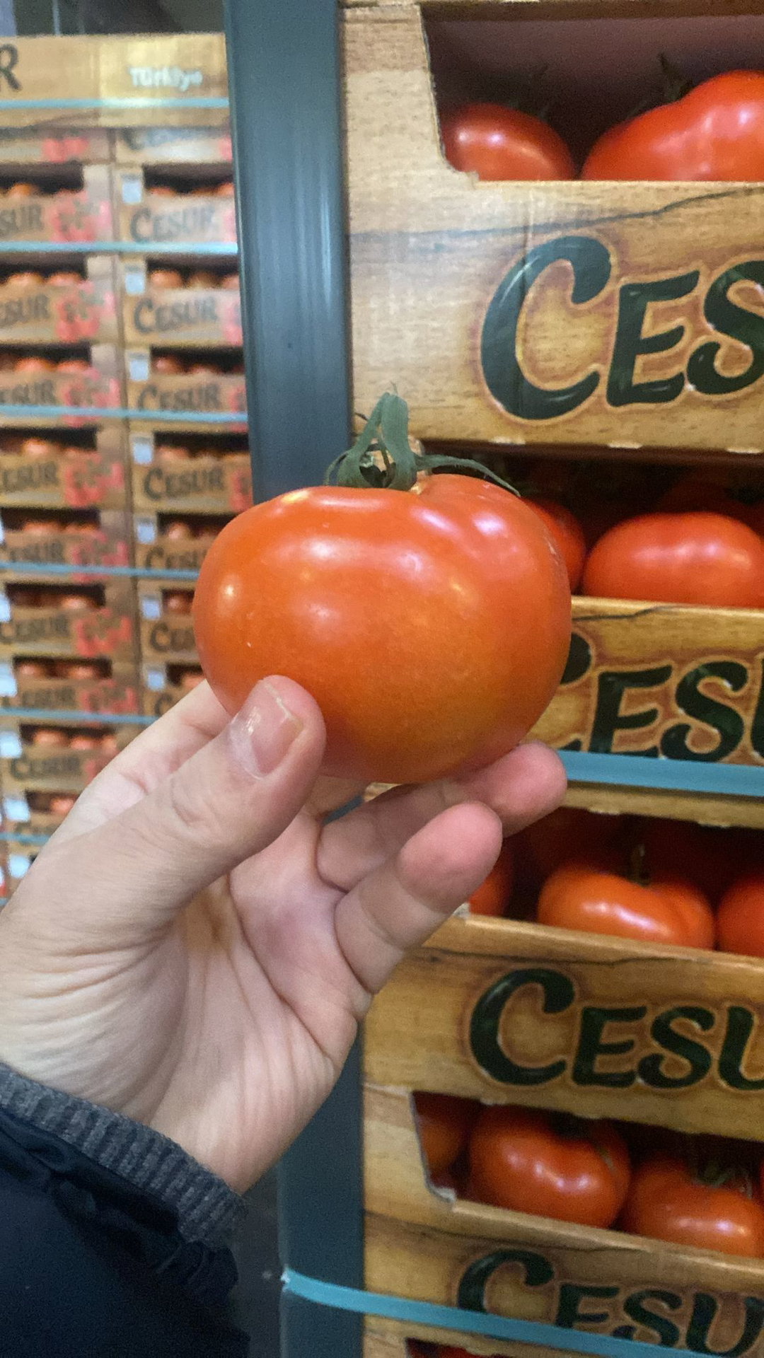 بندورة | Tomaten