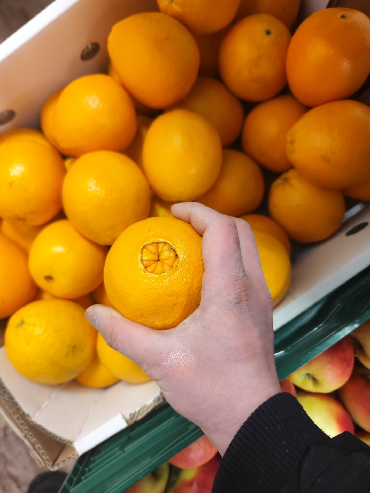 برتقال | Orangen_0