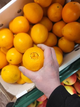 برتقال | Orangen