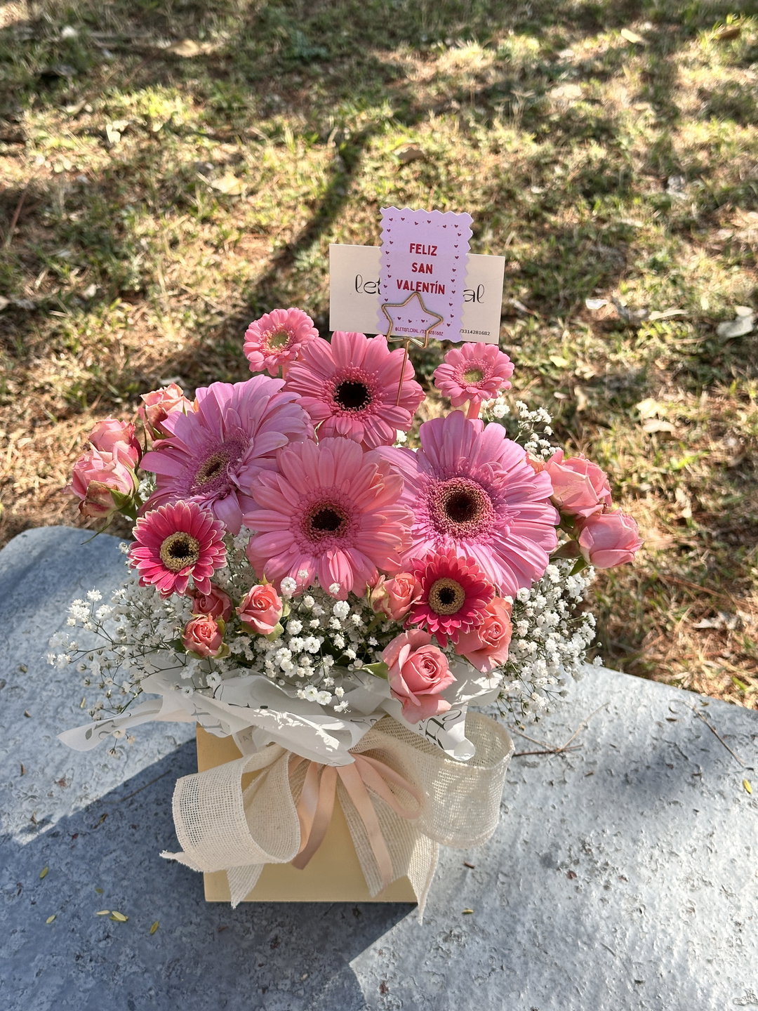 Box Gerbera mix