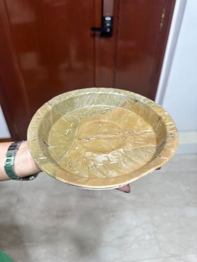 Cutlery  - Disposable Leaf plates / starter plate (8 inch) / quarter plate_2