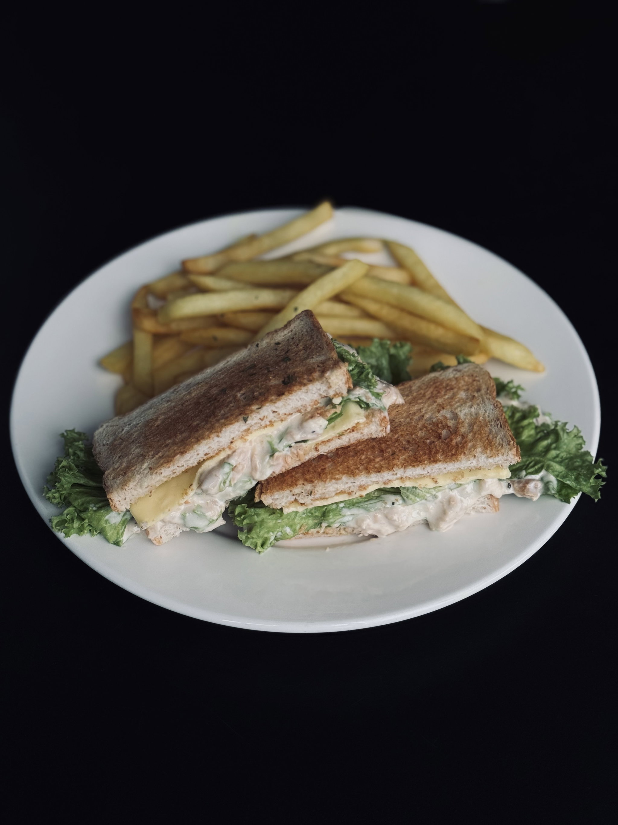 Tuna Melt Sandwich_0
