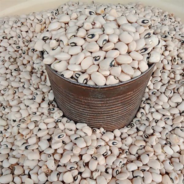 White Beans_0