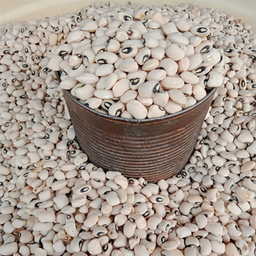 White Beans
