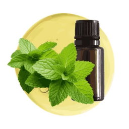 Menta piperita aceite esencial 10ml