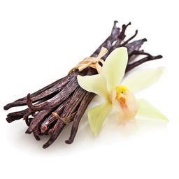 Fragancia vainilla francesa