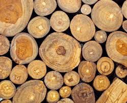 Fragancia teca-caoba