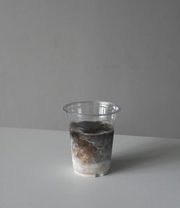 Hojicha 