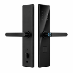 Smart Locks