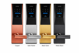 Card Lock (Hotel)