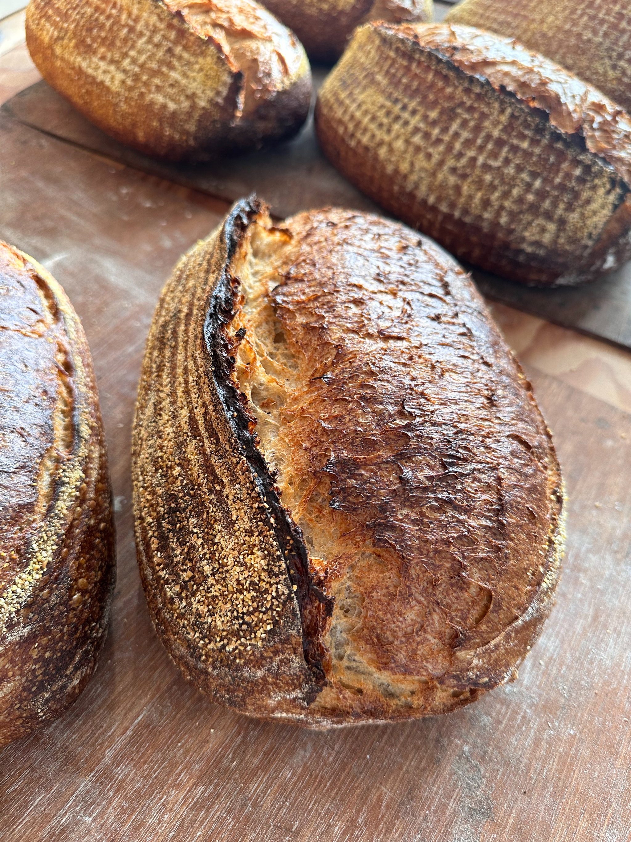 Country Sourdough_0
