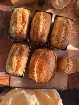 Sandwich Sourdough