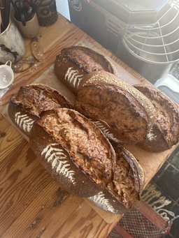 Bread