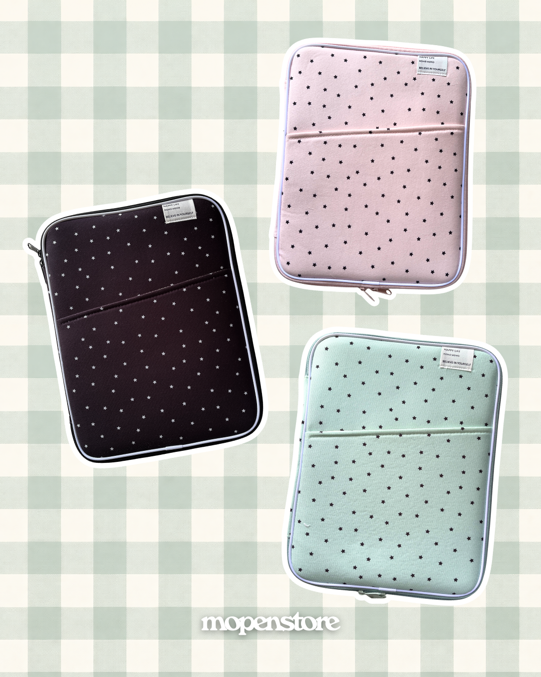 Laptop/iPad Bag _1