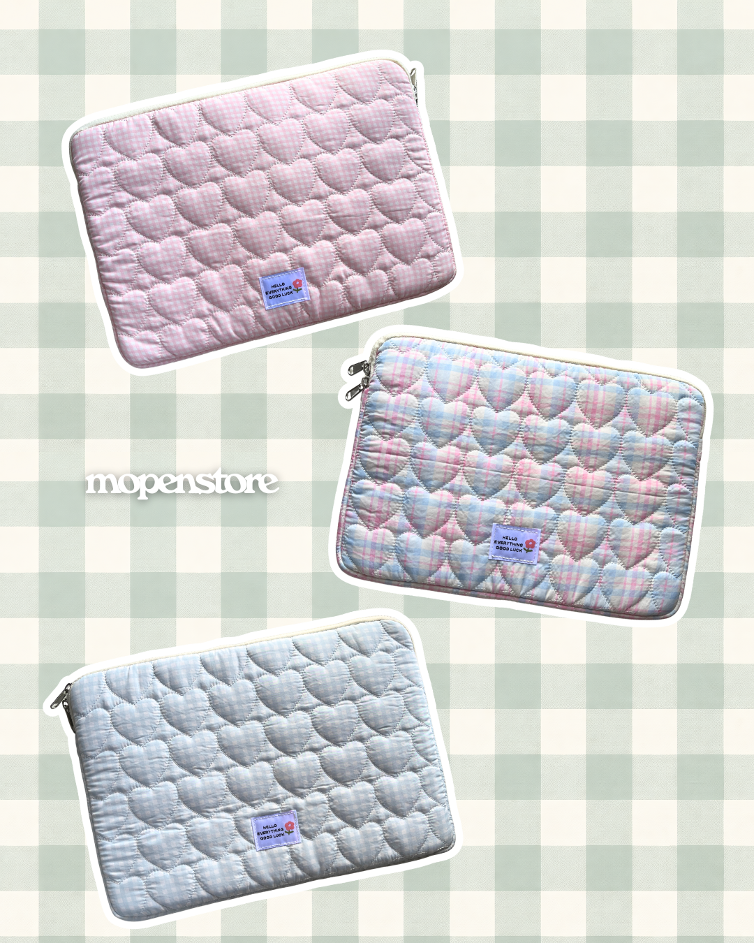Laptop/iPad Bag _3