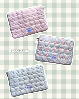 Laptop/iPad Bag 