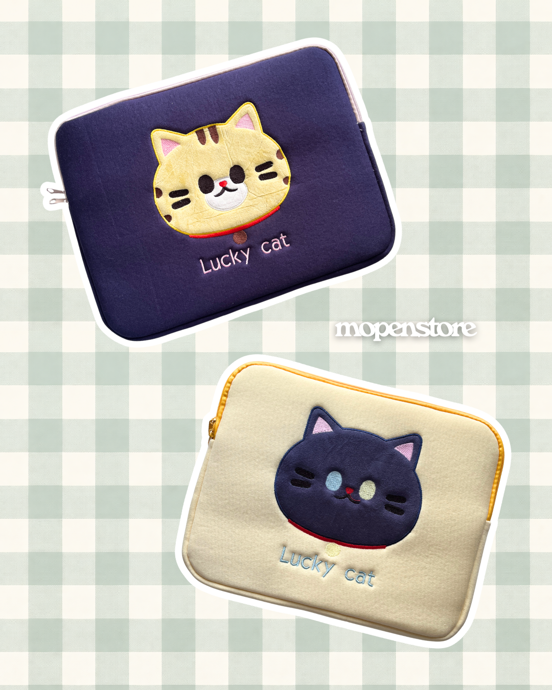 Laptop/iPad Bag _2