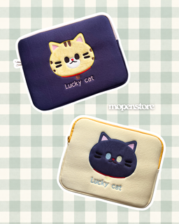 Laptop/iPad Bag 