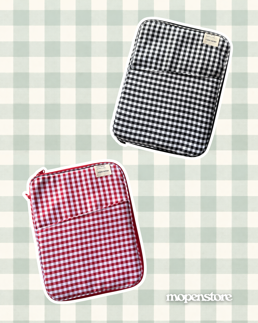 Laptop/iPad Bag 