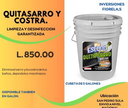 Producto para Limpieza (CUBETA de 5 GALONES)