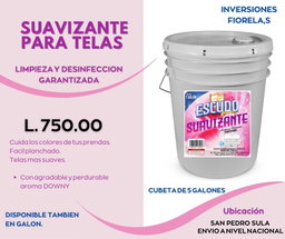 Producto para Limpieza (CUBETA de 5 GALONES)