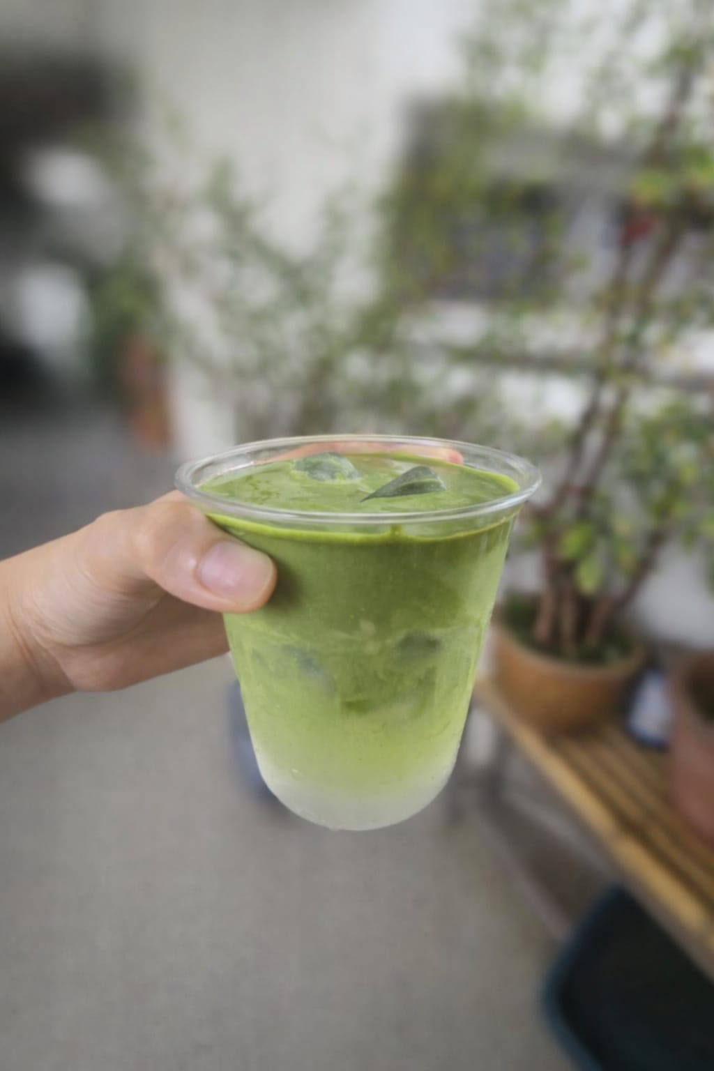 Coconut Matcha Cloud