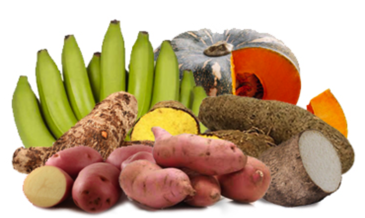 Root Vegetables/Ground Provisions_1