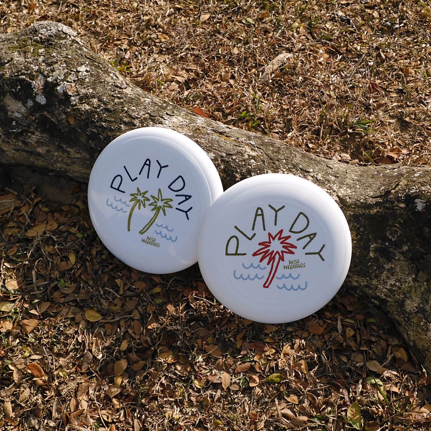 PLAY DAY frisbee _1