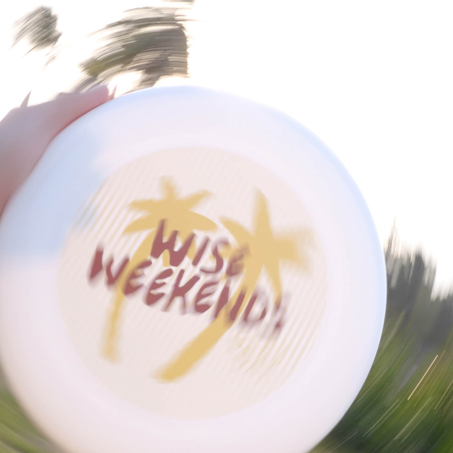 PLAY DAY frisbee _5