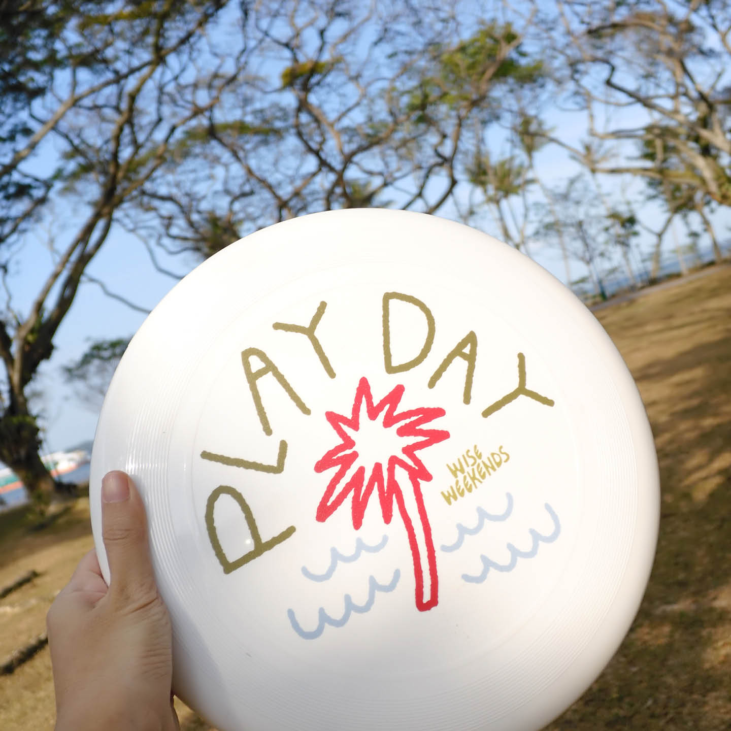 PLAY DAY frisbee _6