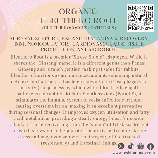 Premium Organic Herbs_16