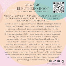 Premium Organic Herbs