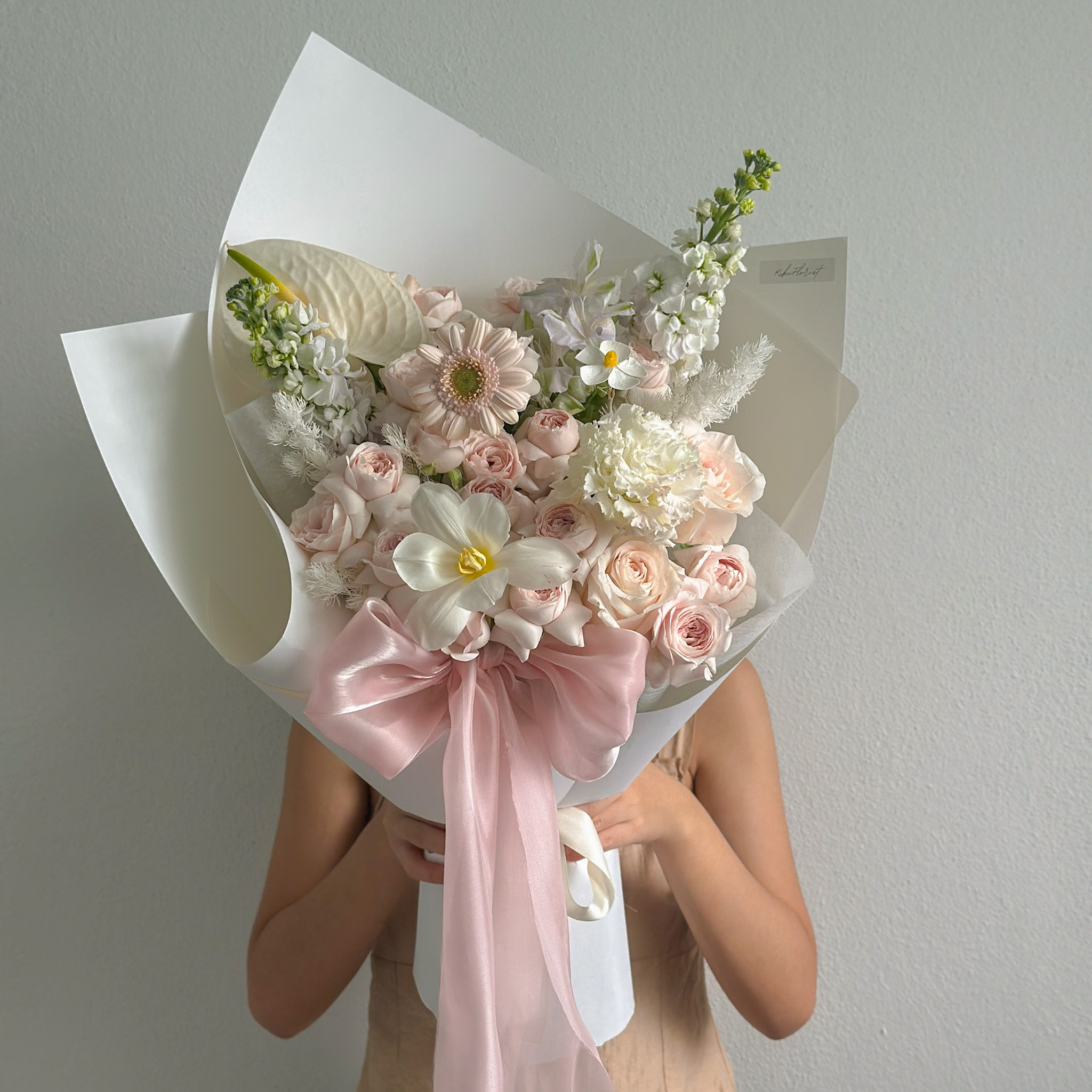 Soft Promise_0