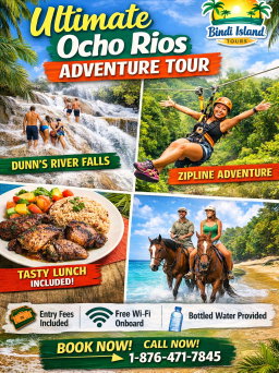 Tour Package 