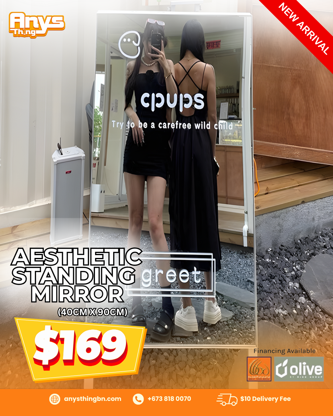 Aesthetic Standing mirror