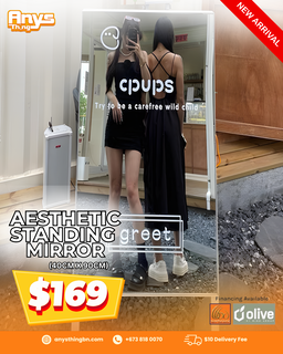 Aesthetic Standing mirror