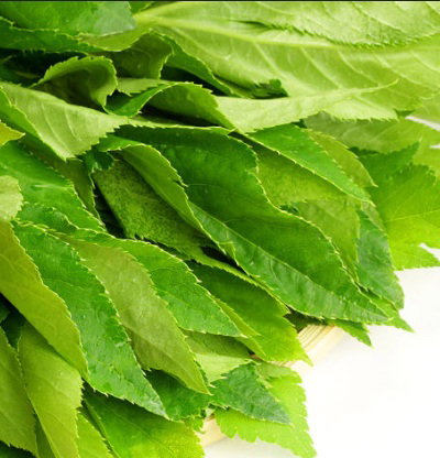 1 For 1 Special Bundle! Premium Ashitaba Leaves For Rabbits & Small Animals (35g + 35g) _1