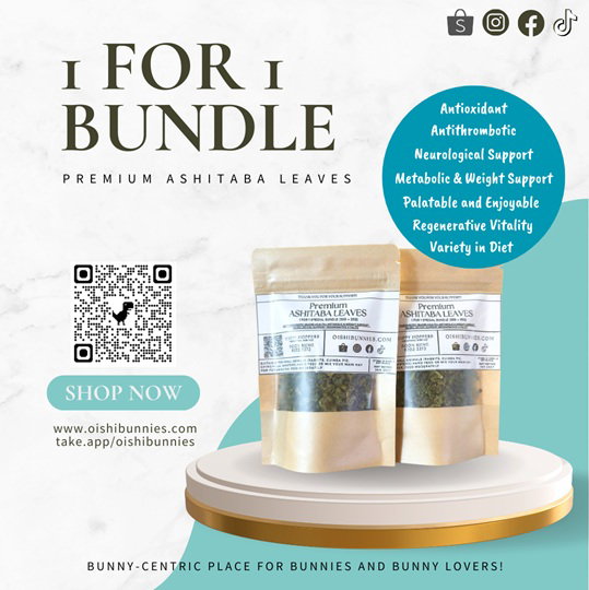 1 For 1 Special Bundle! Premium Ashitaba Leaves For Rabbits & Small Animals (35g + 35g)