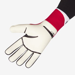 Adidas Predator 25 Pro GK Gloves