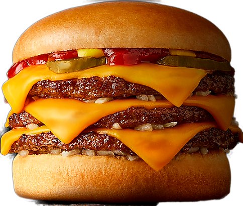 LES BURGERS 