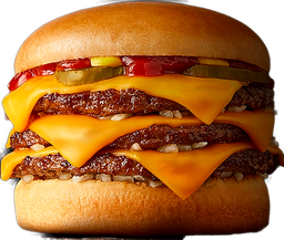 LES BURGERS 