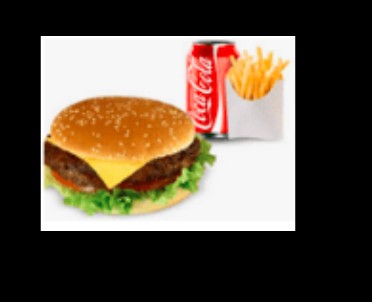 HAMBURGER _4